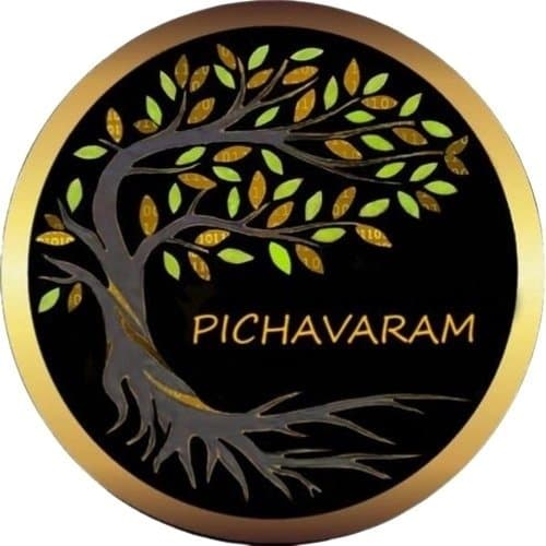 Pichavaram House